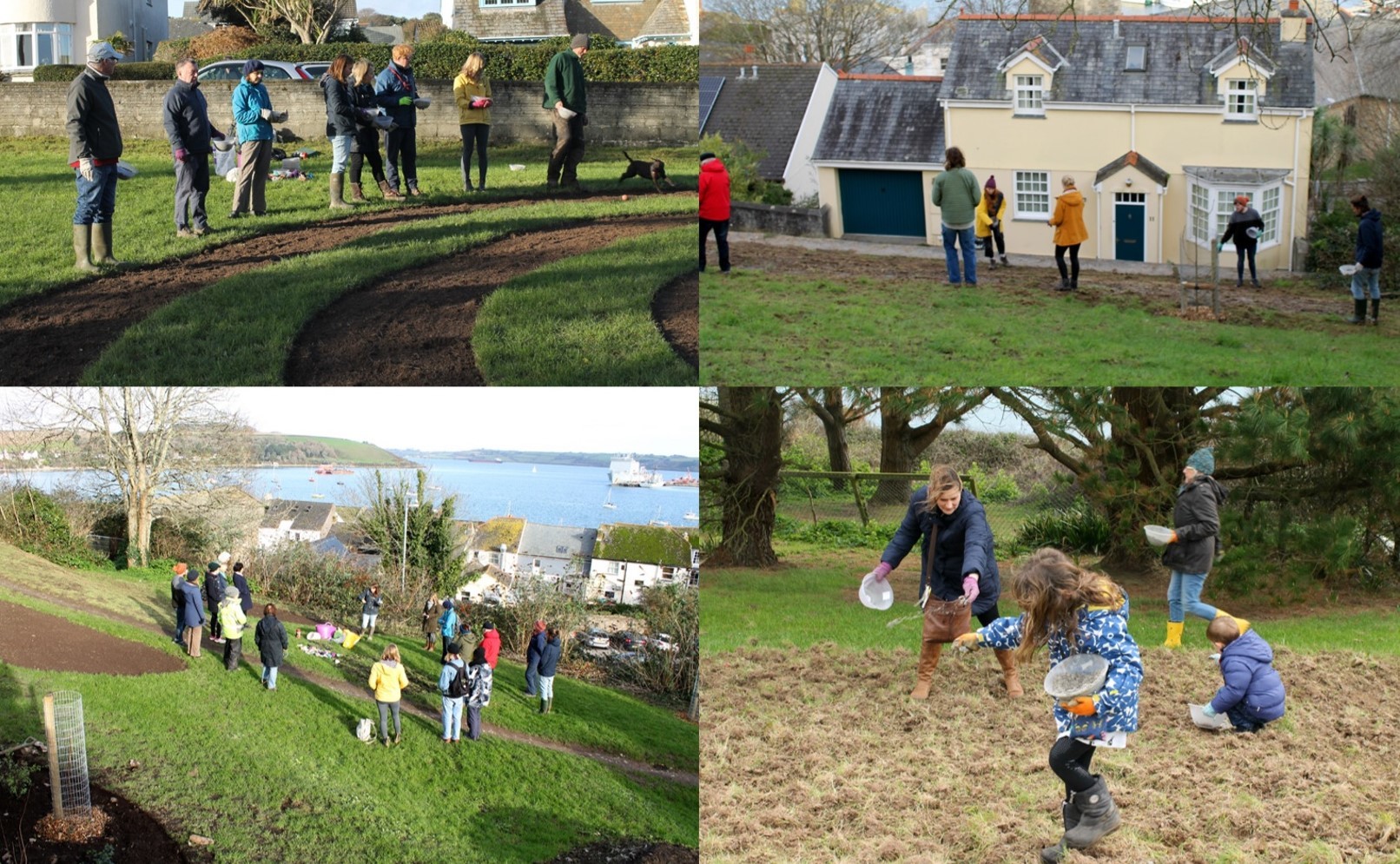 The meadows in Gyllyng Street and Boscawen Road were sown by volunteers from the local community and students from the nearby Tremough Campus in January and March. 