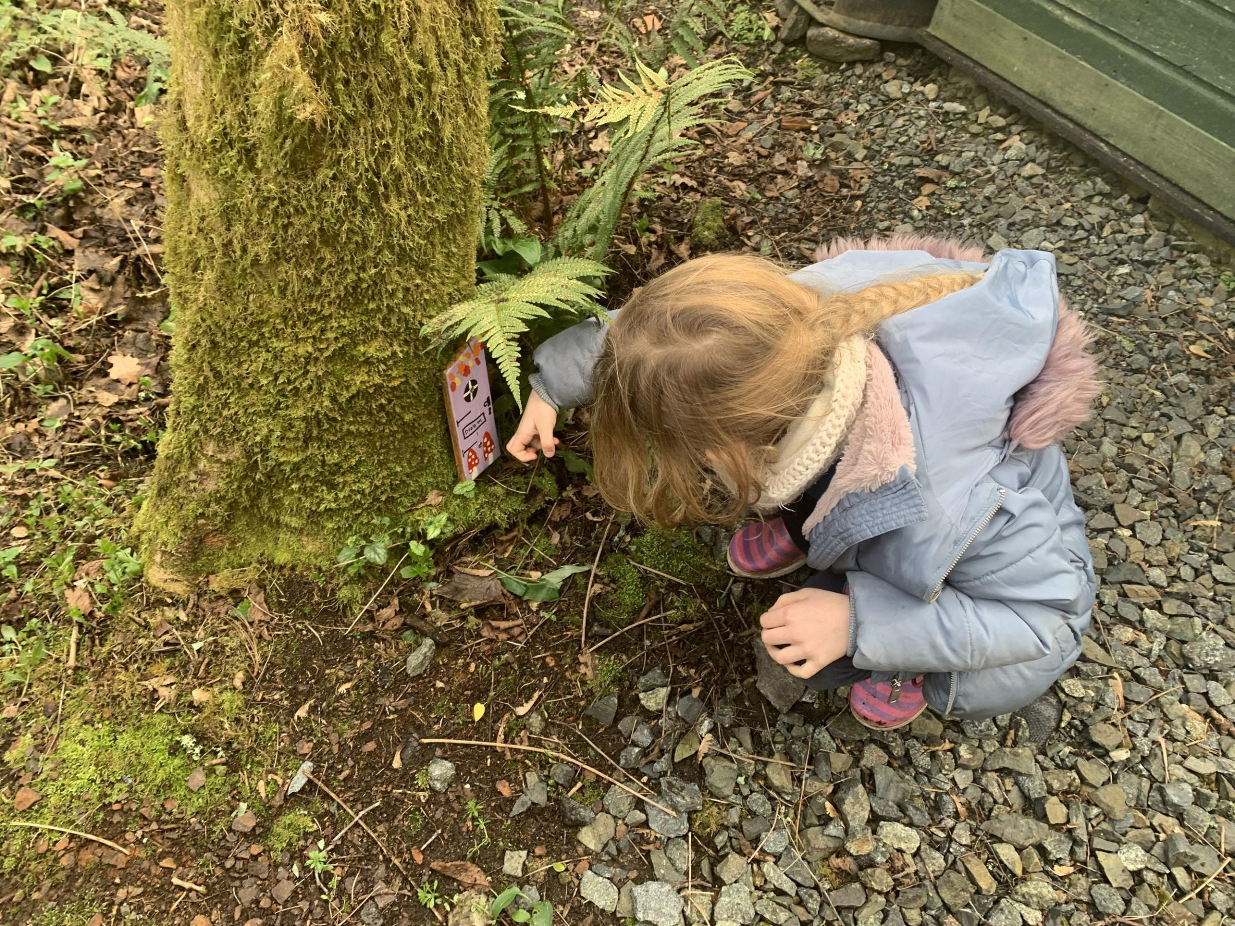 A fairy door is discovered on one of the trees