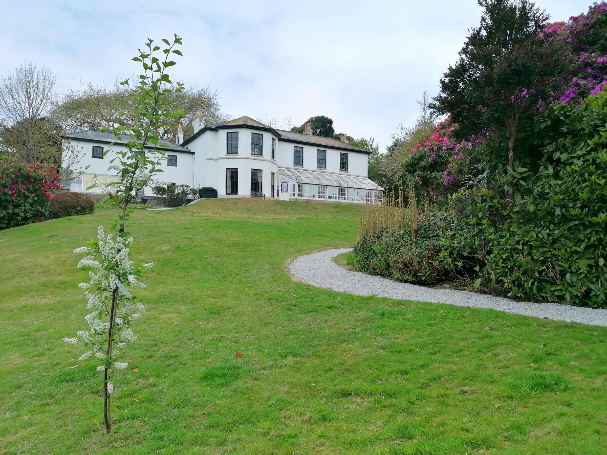 Sarah and Adam have made their mark on the garden by planting a flowering bird cherry tree