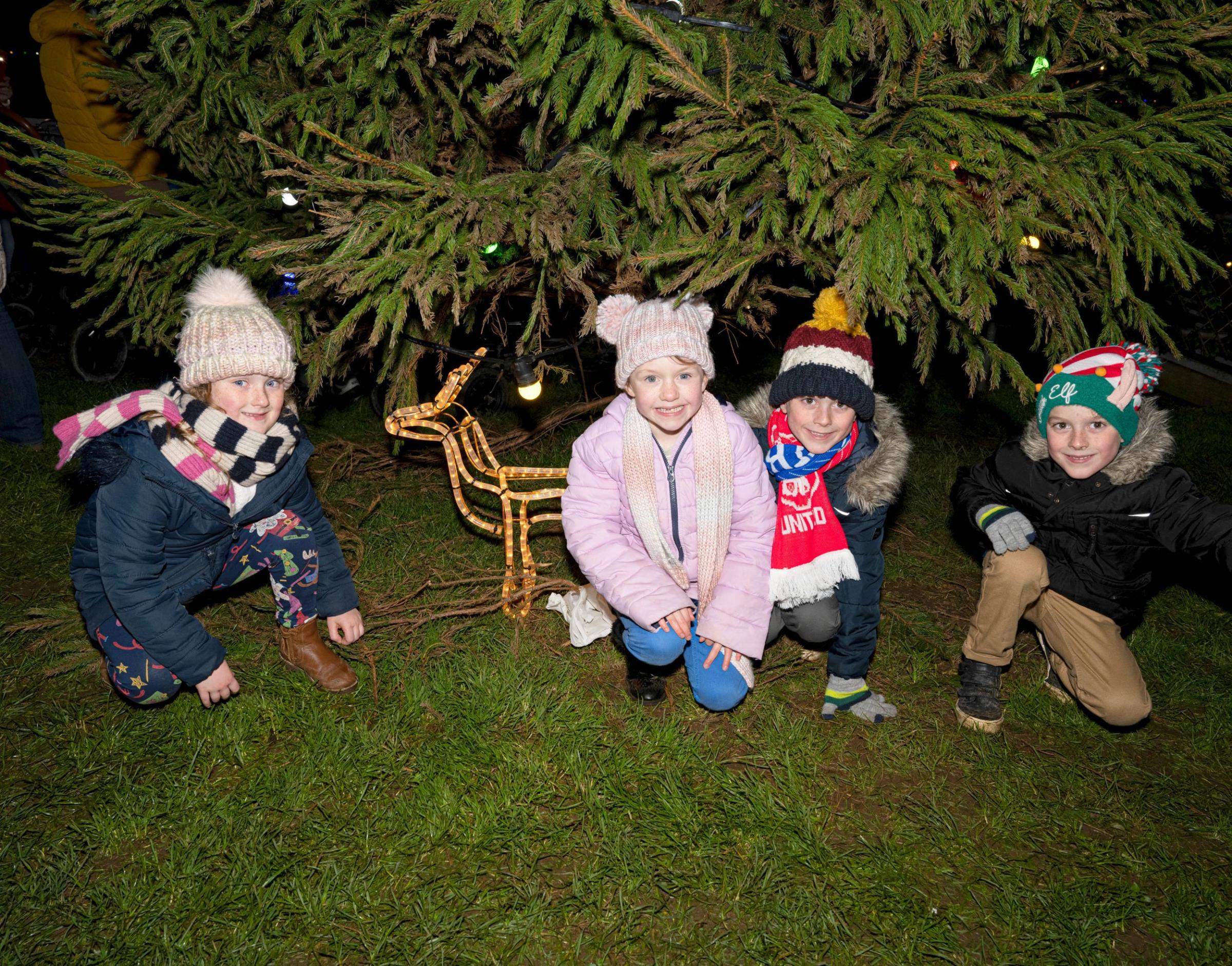 Aria, Florence, Elliot and Oscar enjoy the lights Picture: Kathy White